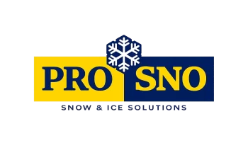 Pro Sno Services